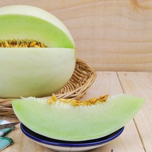 Melon Seeds for Planting (10 Seeds) - Grow Your Own Food (Honeydew Melon)
