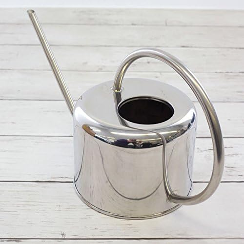 Esschert Design Stainless Steel Watering Can Modern Style, Small