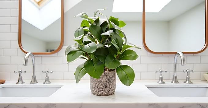 Indoor Faux Ficus Plant 13.5 inch Artificial Greenery in Rustic Cement Planter Realistic Dark Green Leaves with Textured Pot Maintenance-Free Small Fake Plant for Home Office Decor