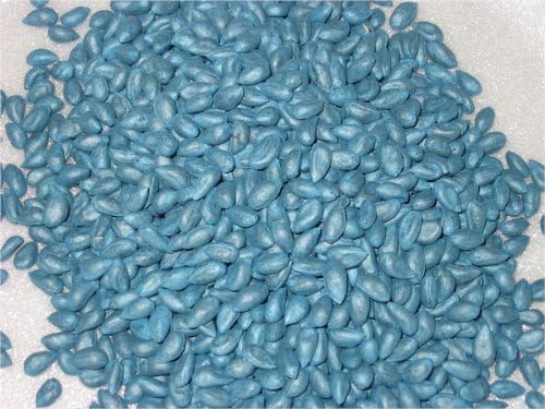 Cotton Seed Pure White, 1 Pound Over 3500 Seeds