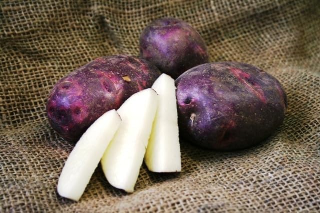 Simply Seed - Purple Viking Potato Seed - All Natural - Ready for Planting - American Grown Real Potatoes