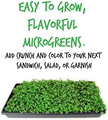 Red Acre Cabbage Microgreens & Sprouting Seeds ā 5 Lb ā Non-GMO, Chemical-Free ā High-Germination Seeds for Nutritious Microgreens, Sprouts, Hydroponic Growing, and Indoor Gardening