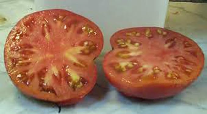 Tomato, Beefsteak, Heirloom, 100 Seeds, Great Sliced Tomato, Delicious