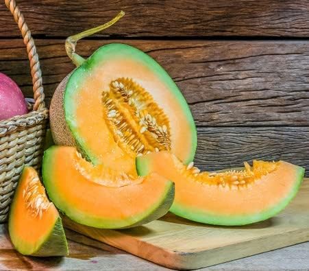 Melon Seeds for Planting (10 Seeds) - Grow Your Own Food (Hales Best Cantaloupe)