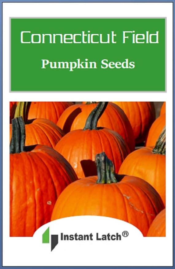 Connecticut Field Pumpkin Seeds | Non-GMO | Heirloom | Instant Latch Fresh Garden Seeds, Orange