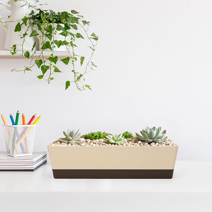 Suream Window Box Herb Planters, 3 Pack 16 x3.8 Inch Indoor Rectangle Succulent Cactus Plant Pots with Saucer, Modern Plastic Flower Container for Windowsill, Garden Balcony, Home Office Outdoor Decor