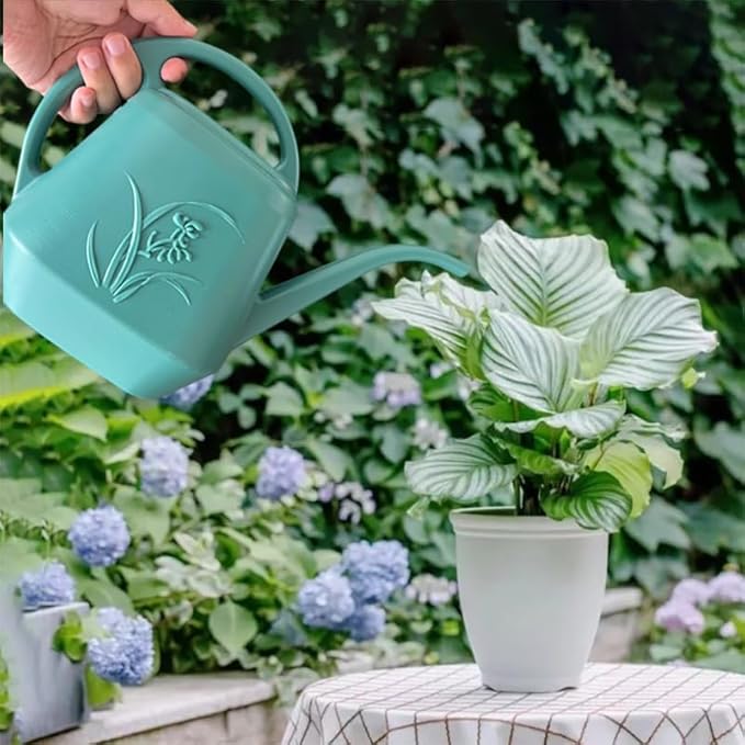 Plant Watering Can - 1 Gallon - Green - with Long Spout for Indoor and Outdoor Plant Garden