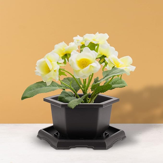 5 Pack Bonsai Pots, Hexagon Built in Mesh Plastic Bonsai Training Pots with Trays, Plant Flower Tree Growing Bonsai Planter for Garden Supplies, Yard, Office, Room, Balcony,7.4 Inch