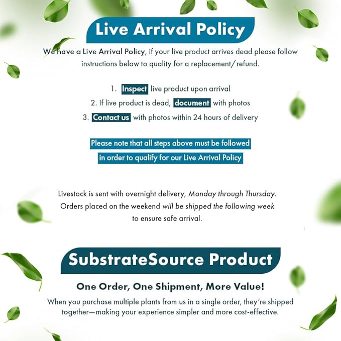 SubstrateSource Java Fern Live Aquarium Plants - Potted Freshwater Plant for Fish Tanks - Beginner Friendly, Low Light (Sunrise, 1 Pot)