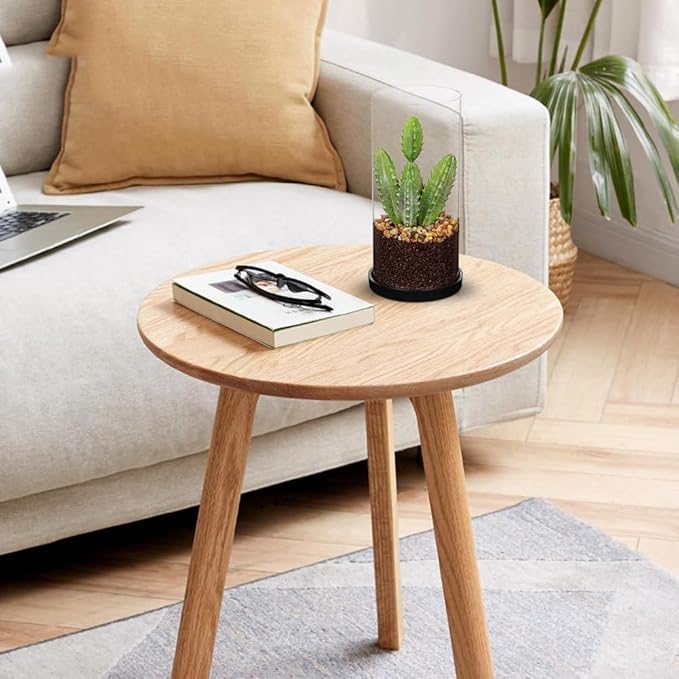Artificial Succulent in Cylindrical Glass Vase Small Fake Cactus Plant with Modern Glass Terrarium Faux Plants Indoor Gift for Plant Lover Decor for Home Office Table Desk Shelf
