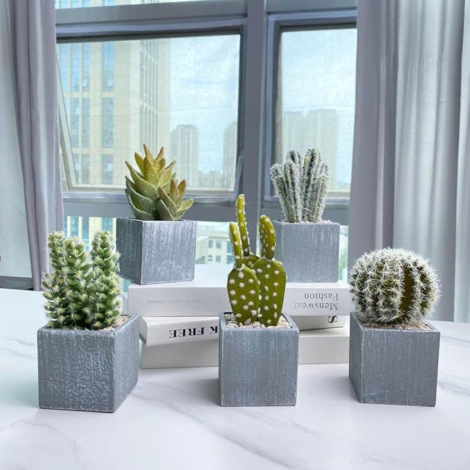 Cactus Artificial Plants,Faux Cactus Potted Plants, Indoor Decor for Home,Office,Kitchen,Living Room,Desk,Shelf(Grey Pots)