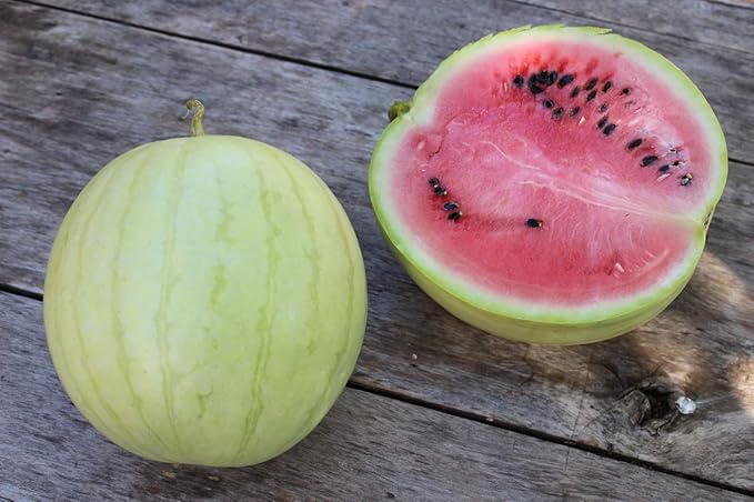 Seeds Watermelon Snow White Giant Heirloom Vegetable for Planting Non GMO