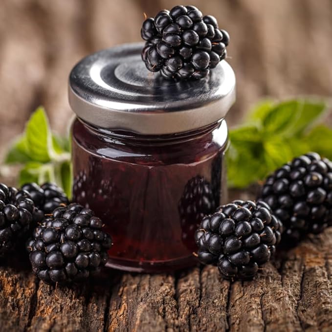 Blackberry Plant Collection (4 Pack) Live Fruit Plants for Planting | 4 Different Varieties for a Continuous Harvest | Thornless & Thorny Mix| Large, Sweet & Juicy Berries |Perfect for Organic Gardens