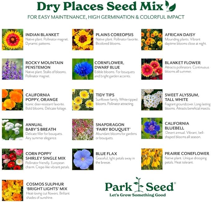 Park Seed Grow Your Own Vibrant Annual and Perennial Wildflower Garden Mixture, Easy to Grow Varieties for Pollinators and Spring Gardens - Dry Places Mix, 1/4 lb