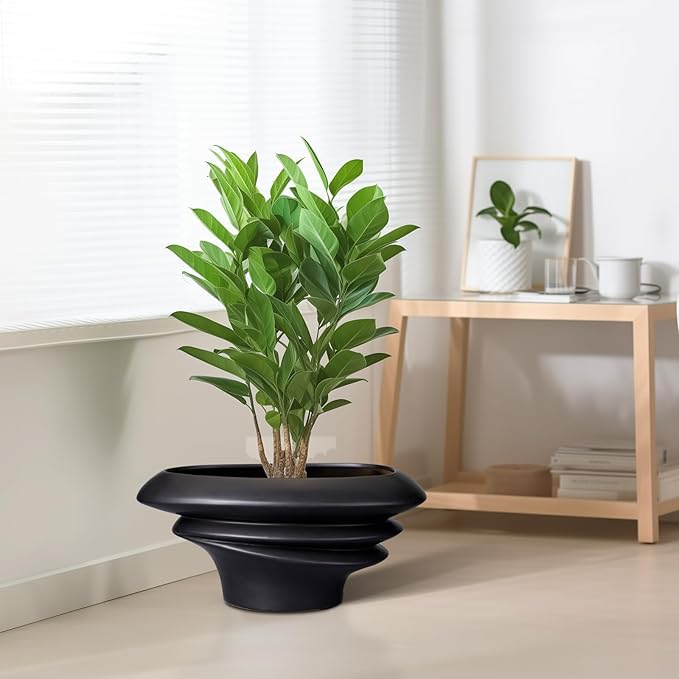 SQOWL Bonsai Pots - 12 Inch Ceramic Bonsai Planter Succulent Pot for Indoor Outdoor Plants Decorative Plant Pot with Drainage Hole Large Flower Pot for Tree Cactus Black