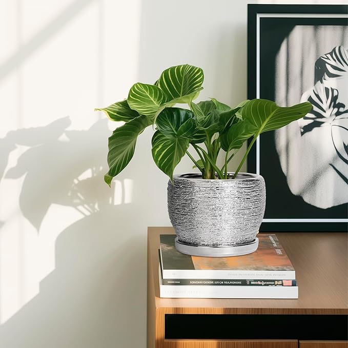 SQOWL Ceramic Plant Pots - 6 Inch Planter for Indoor Outdoor Plants, Modern Round Flower Pots with Drainage Hole and Saucer, Decorative Small Planter, Office Decor, Gifts for Women Men, Silver