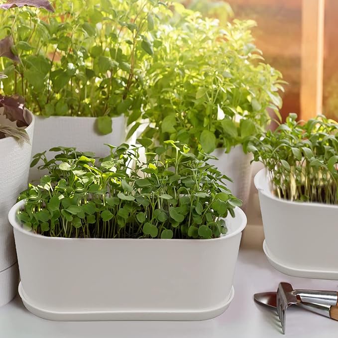10-Pack White Herb Planter Box with Drip Trays, 8.5 Inch Small Oval Window Planters for Kitchen Sill, Indoor Outdoor, Perfect for Basil, Mint, Succulents, Flowers