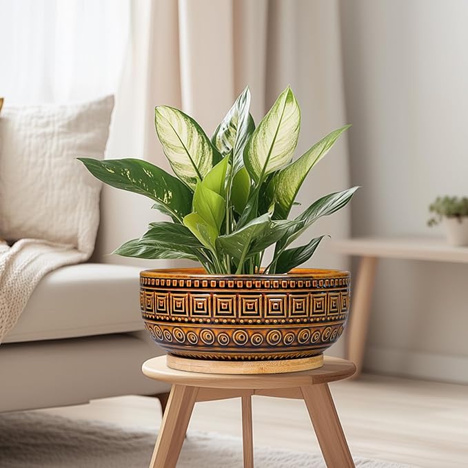 G EPGardening Bonsai Pots- 8 Inch Ceramic Succulent Planter with Drainage and Plant Saucer, Shallow Round Planter Bowl for Indoor Plants Flower, Boho Room Decor, Birthday Gifts, Brown