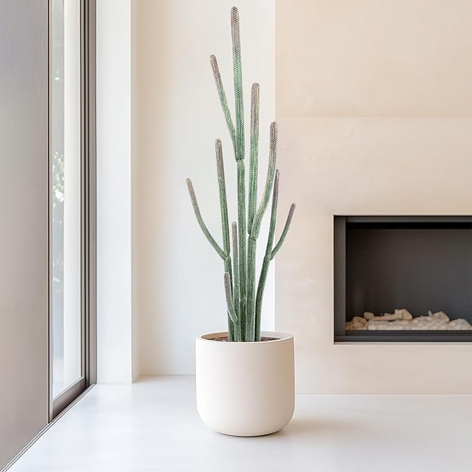 Tall UV Resistant Faux Cactus Plant,60in Realistic Texture Tall Fake Plant, Artificial Cactus Large with Black Pot Indoor Outdoor for Home Office Living Room Bedroom Foyer Porch Decor.