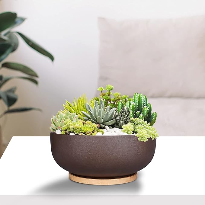 SQOWL 10 Inch Large Terracotta Planter Pot,Clay Succulent Bonsai Planter with Drainage Hole and Bamboo Saucer for Indoor Plants