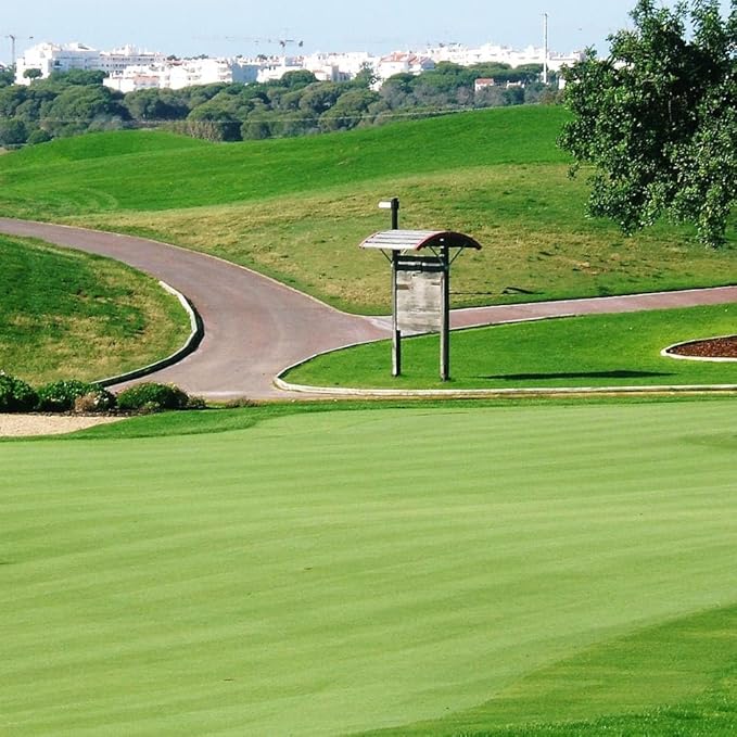 Outsidepride T-1 Creeping Bentgrass Seed - 2 lbs Fine-Bladed, Premium Quality Turf, Grass Seed for Smooth Surface, & High-Traffic Areas, Ideal Grass for Golf Courses Putting Greens, & Fairways