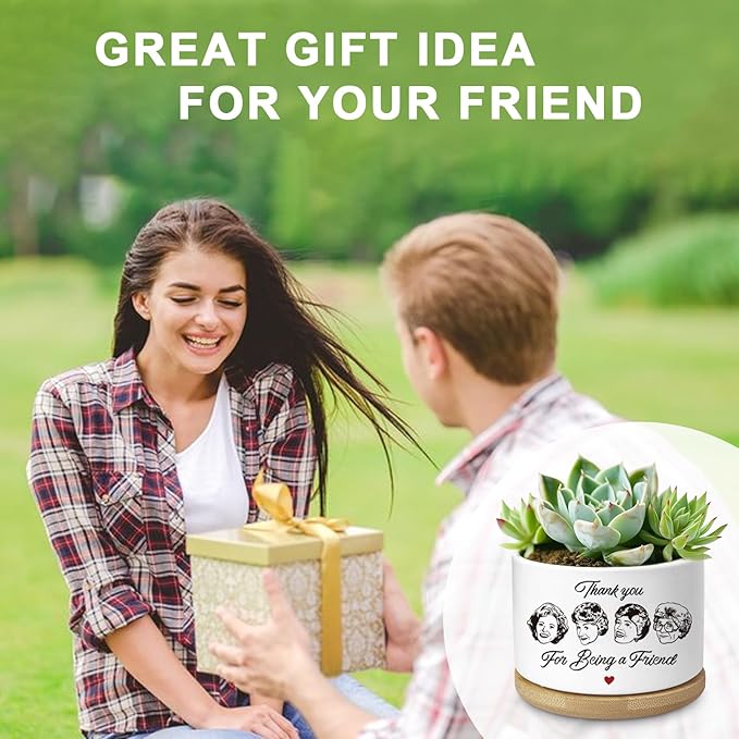 Friend Gifts for Women, Succulent Planter, Flower Cactus Plant Pot, Friendship Gifts for Women Friends Bestie Sister, Golden Merchandise, Thank You for Being A Friend (No Plants)