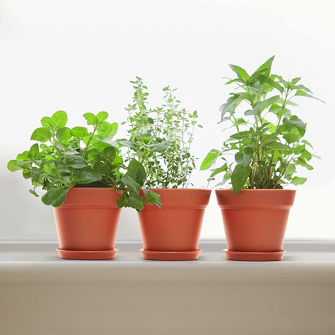 4 Inch Plastic Plant Pots 6 Pack, Small Flower Pots with Drainage Holes and Tray, Thickened Indoor Planters Seedlings Nursery Pots, African Violet, Succulent and All House Plants, Terracotta