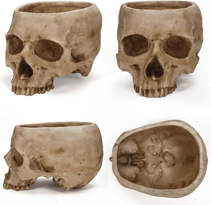 Skull Planter Pot for Plants - Realistic Human Skull Head Flower Pot, Halloween/Gothic Décor, Resin Planter for Succulents, Bonsai, Cactus, Home Bar, Desk, Spooky Gift Idea(Beige)