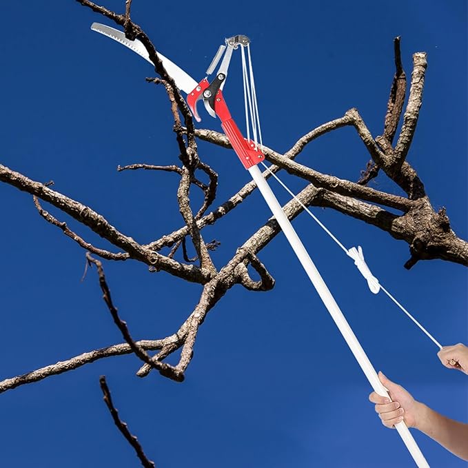 14 Inch Tree Pruner Pole Saw without Pole, 4 Wheels Sharp Tree Pruning Shear, Fruit Picker Harvester Pole Saw Tree Trimmer Clipper Trimming Tool