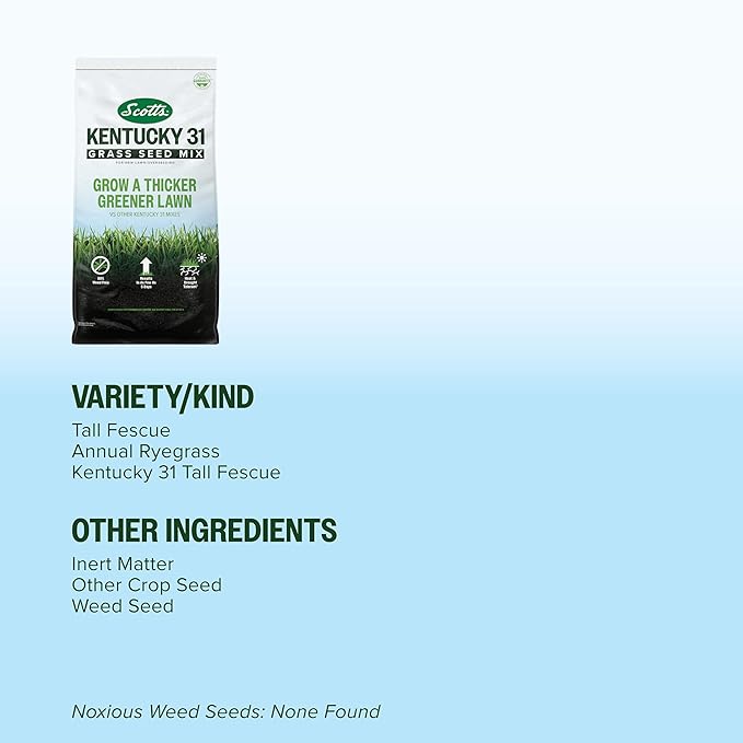 Scotts Kentucky 31 Grass Seed Mix for New Lawns or Overseeding, Grows Thicker and Greener vs. Other Kentucky 31 Mixes, Covers up to 5,000 sq. ft.