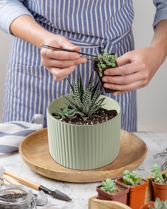 Ceramic Plant Pots, 8.1 + 6 Inch Planters for Indoor Plants, Modern Flower Pot for Plant with Drainage, Medium Cylinder Flower Pots for Indoor/Outdoor, House Plants, Matte Green