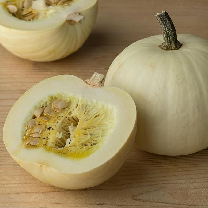 Seed Needs White Pumpkin Seeds for Planting Lumina Pumpkins - Non-GMO Heirloom & Untreated Vegetable Seeds to Plant an Outdoor Pumokin Patch - Perfect for Carving (2 Packs)