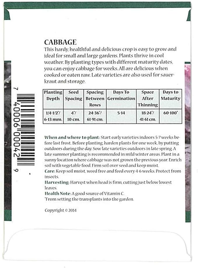 Red Acre Cabbage Microgreens & Sprouting Seeds ā 4 Gram ā Non-GMO, Chemical-Free ā High-Germination Seeds for Nutritious Microgreens, Sprouts, Hydroponic Growing, and Indoor Gardening