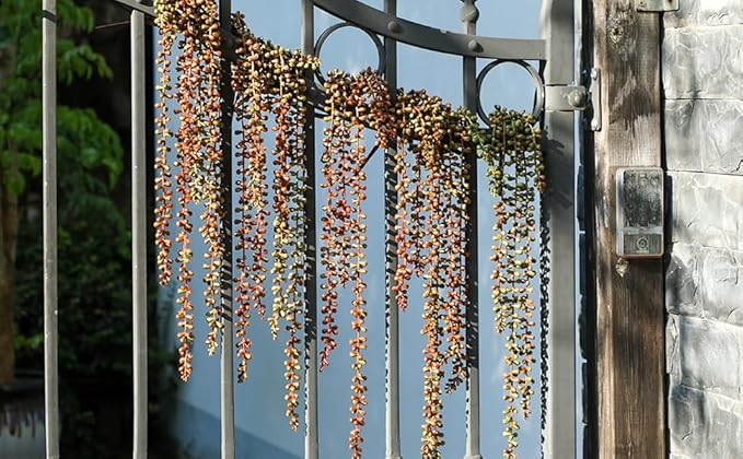 6PCS Orange Artificial Succulents Hanging Plants,27.5 Inch Fake String of Pearls Greenery Plants 5 Branches for Autumn Home Garden Office Party Balcony Wall Indoor Outdoor Fall Dec, Orange