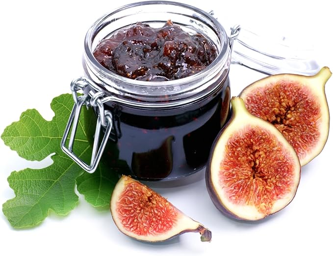 Chicago Hardy Fig Plant (4 Pack) | Live Fruit Plant for Planting | Cold-Hardy & High-Yielding Tree | Grow Your Own Sweet & Juicy Figs at Home | Perfect for Fresh Eating, Drying & Organic Gardening
