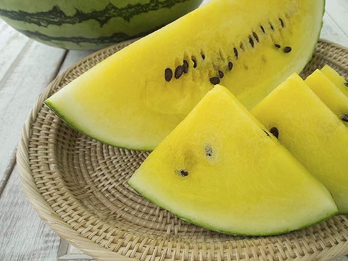 Melon Seeds for Planting (10 Seeds) - Grow Your Own Food (Yellow Watermelon)