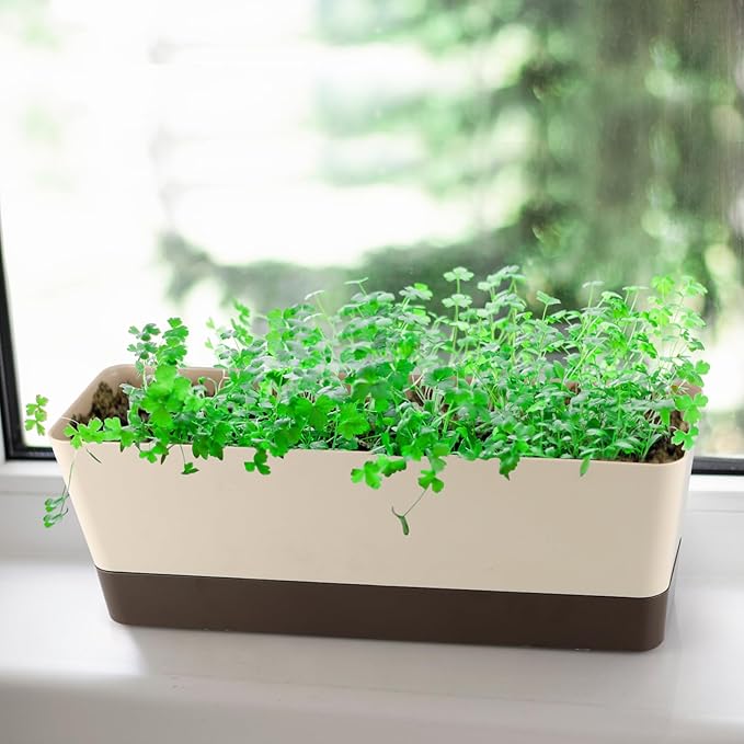 Window Box Planter with Tray, 12" Rectangle Plant Pot, Pack of 2 (Beige)