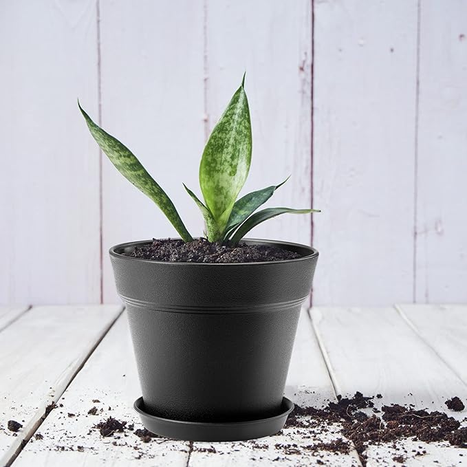 6 Pack Plastic Plant Pots with Drainage Holes and Tray, 7 inch Thickened Indoor Planters Seedlings Nursery Pots for Flowers, African Violet, Succulent and All House Plants, Black