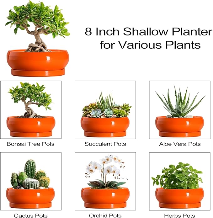 Bonsai Pots 8 Inch - Ceramic Succulent Planter with Drainage Hole and Saucer, Shallow Plant Pot Indoor Outdoor, Round Bowl Planter, Bonsai Tree Pots, Table Decor, Plant Lover Gift, Orange