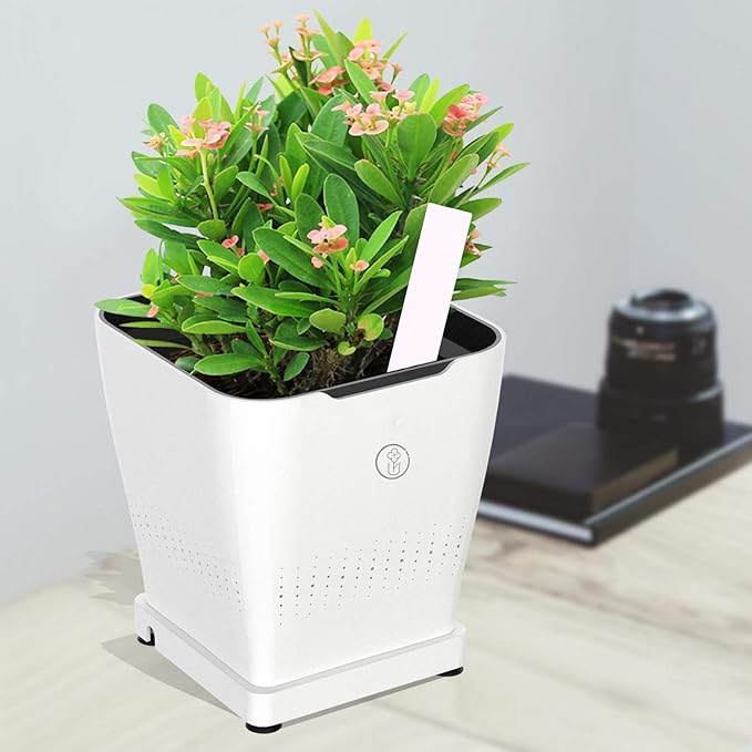 Plastic Plant Labels 100 PCS Garden Plant Tags 1x6 inch Nursery Garden Labels Waterproof Flower Marker for Decoration