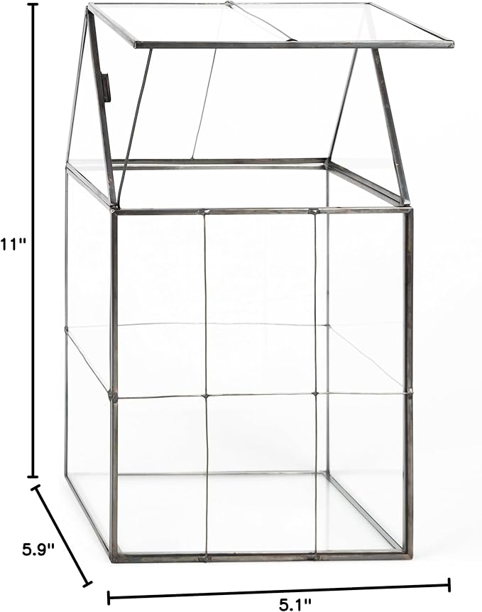 D'Eco Glass Geometric Centerpiece (6x5x11)- Tabletop Planter Terrarium for Home Decor & Wedding Letterbox- Fill w/Succulents, Holiday Decorations, Mini Trees & Ornaments- Xmas Gift for Plant Lovers