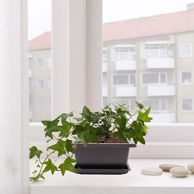 15 PCS 8.8 Inch Bonsai Training Pots, Bonsai Tree Growing Pots with 15 Drainage Trays, Plastic Bonsai Planter for Garden, Yard, Office, Porch, Balcony, Home Decoration