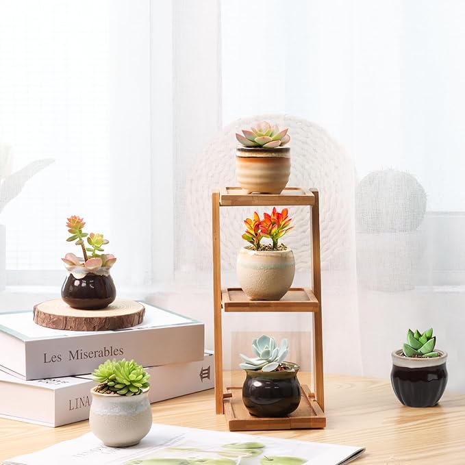 T4U Mini Ceramic Succulent Pots with Drainage - Set of 6, Tiny Pots for Plants, Home and Office Decor, Plant Lover Gifts for Women