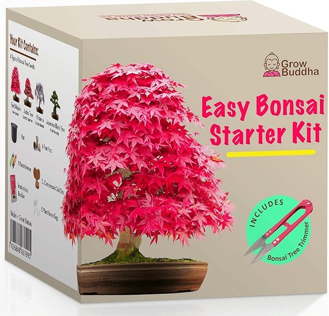 Grow Your Own Bonsai Tree kit | Easily Grow 4 Types of Bonsai Tree with Our Complete Beginner Friendly Bonsai Starter kit | Bonzai Tree | Christmas Gift Set for Plant Lovers (Bonsai Kit)