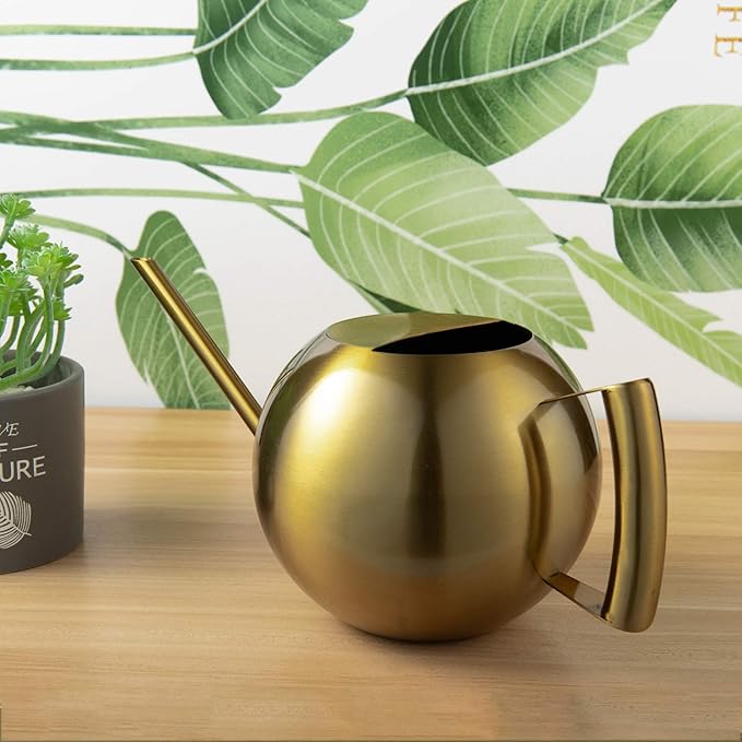 IMEEA Watering Can for Indoor Plants 45oz/1.3L Stainless Steel Small Indoor Watering Can House Plants