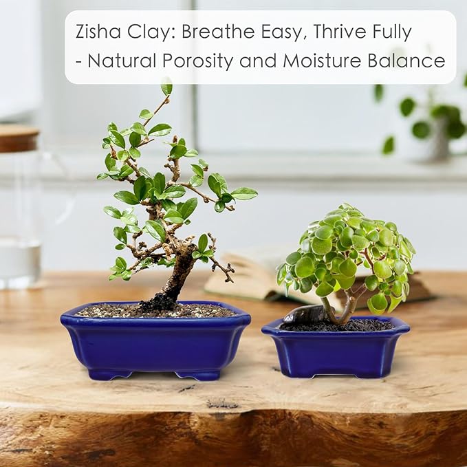 Set of 2 Zisha White Clay Bonsai Pot Glazed Shallow Succulent Planter Blue
