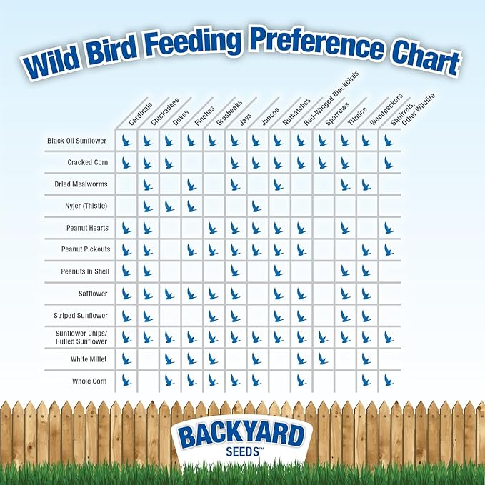 CountryMax Backyard Seeds Coarse Sunflower Hearts Bird Seed – 10 lb Bag | Premium No-Shell Feed for Wild Birds | Ideal for Cardinals, Finches, Chickadees, and More | Mess-Free, High-Energy Nutrition