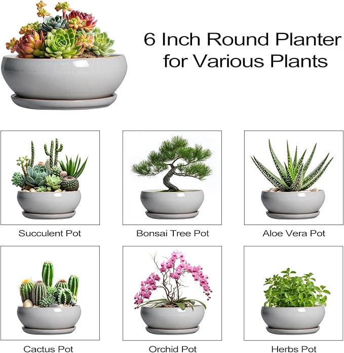 SQOWL Succulent Planters 6 Inch - Ceramic Bonsai Pots with Drainage Hole and Saucer, Shallow Planter for Indoor Plants Outdoor, Round Ceramic Pots for Plants Cactus, Room Decor, Garden Gifts, Gray
