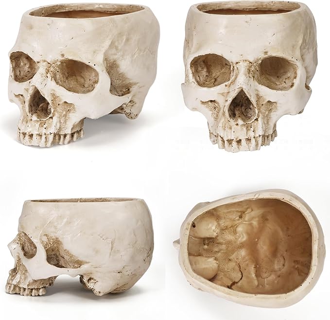 Skull Planter Pot for Plants - Realistic Human Skull Head Flower Pot, Halloween/Gothic Décor, Resin Planter for Succulents, Bonsai, Cactus, Home Bar, Desk, Spooky Gift Idea (Antique White)