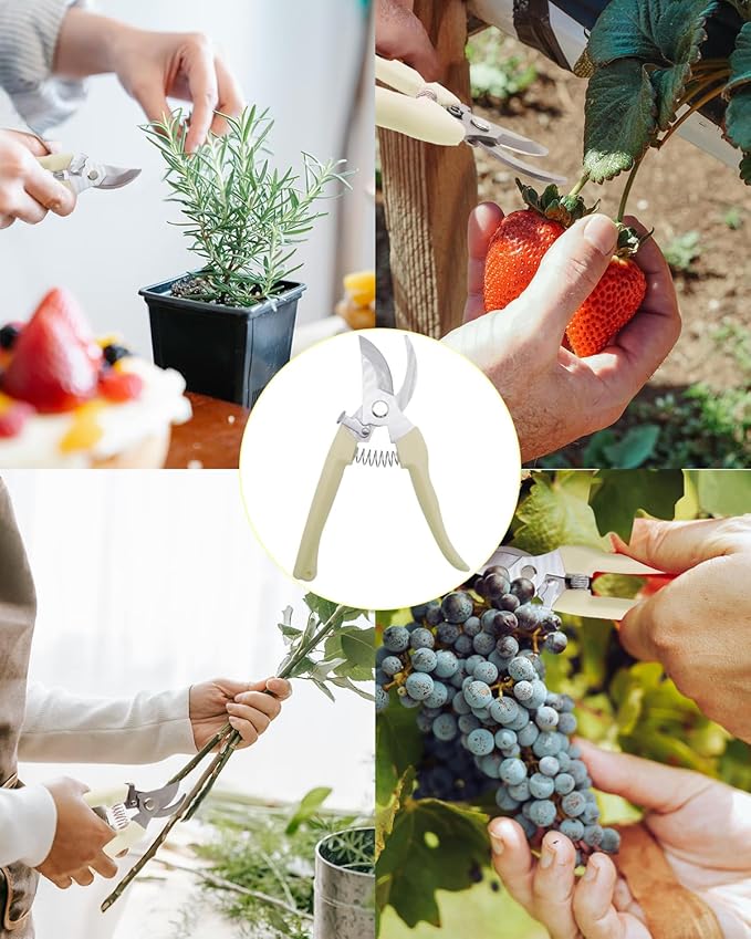 Pruning Shears for Gardening, 1 Pack Garden Scissors for Cutting Fresh Flowers, Floral Clippers for Plants, Fruits (Yellow)